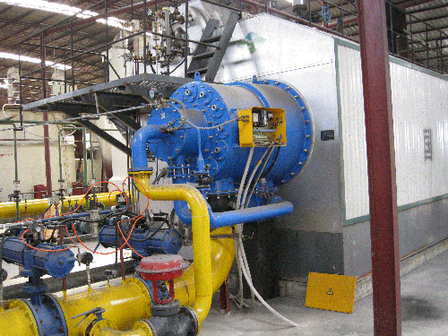 Biomass gas boiler